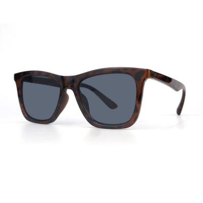 P10732 tortoiseshell (brown/amber) wayfarer pc/tr90 sunglasses