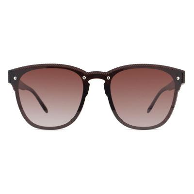 P10766 brown wayfarer pc/tr90 sunglasses