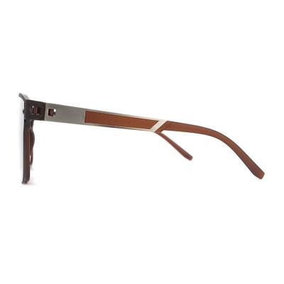 P10766 brown wayfarer pc/tr90 sunglasses