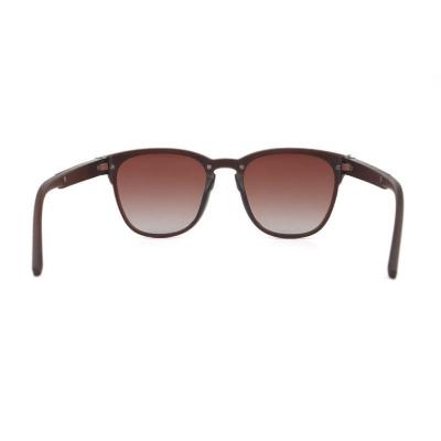 P10766 brown wayfarer pc/tr90 sunglasses