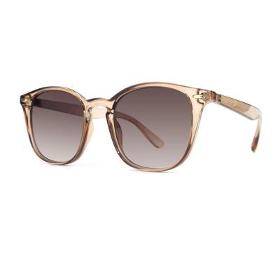 P10741 champagne/crystal amber square pc/tr90 sunglasses