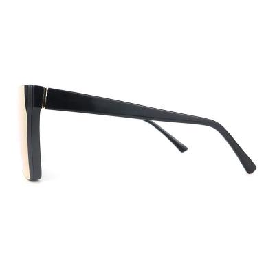 P10742 transparent shield pc/tr90 sunglasses