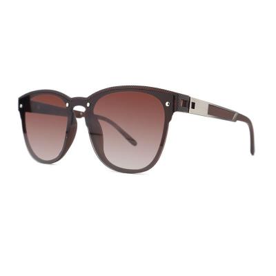P10766 brown wayfarer pc/tr90 sunglasses