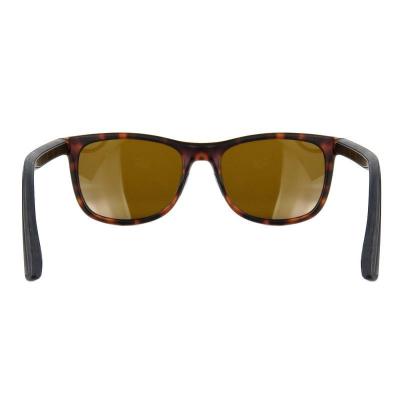 P10815 tortoiseshell wayfarer pc/tr90 sunglasses
