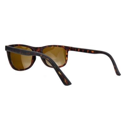 P10815 tortoiseshell wayfarer pc/tr90 sunglasses