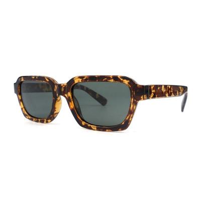 P10810 tortoiseshell square pc/tr90 sunglasses