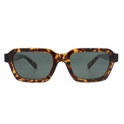 P10810 tortoiseshell square pc/tr90 sunglasses