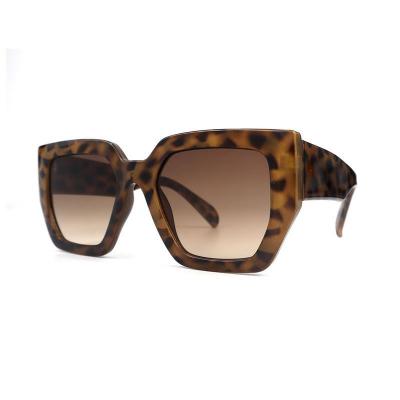 P10805 tortoiseshell geometric pc/tr90 sunglasses