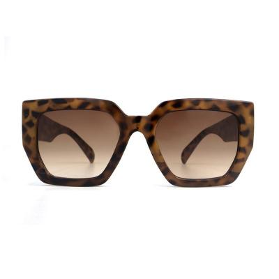 P10805 tortoiseshell geometric pc/tr90 sunglasses