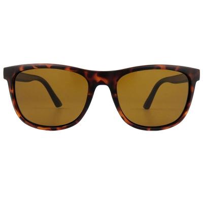 P10815 tortoiseshell wayfarer pc/tr90 sunglasses