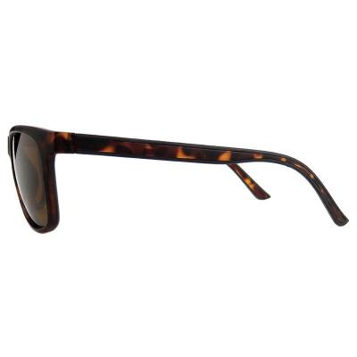 P10815 tortoiseshell wayfarer pc/tr90 sunglasses