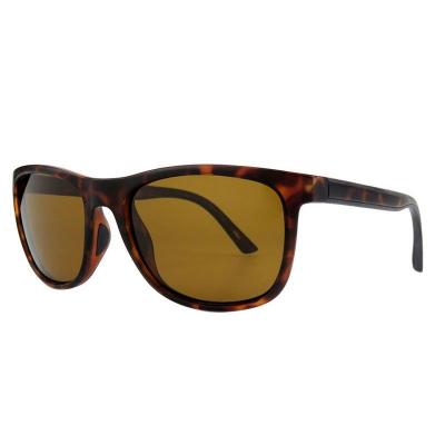 P10815 tortoiseshell wayfarer pc/tr90 sunglasses